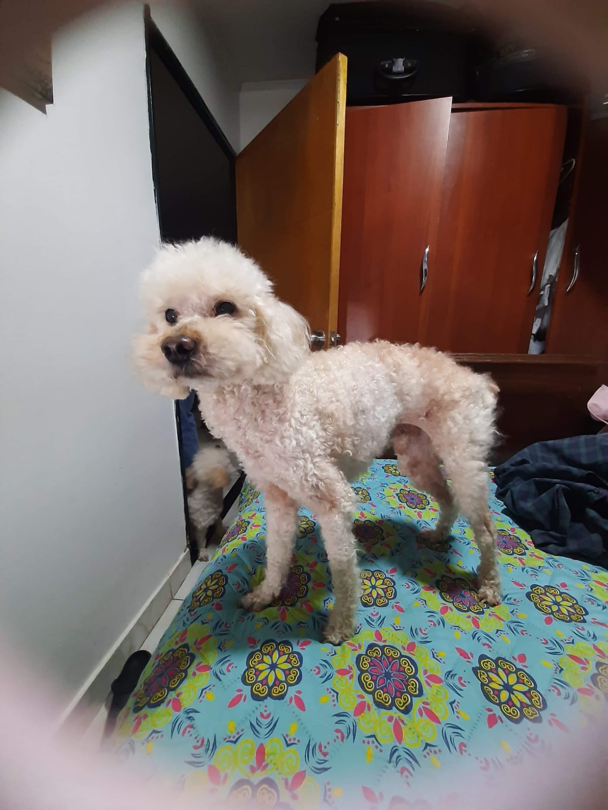 Mateo hace unos meses